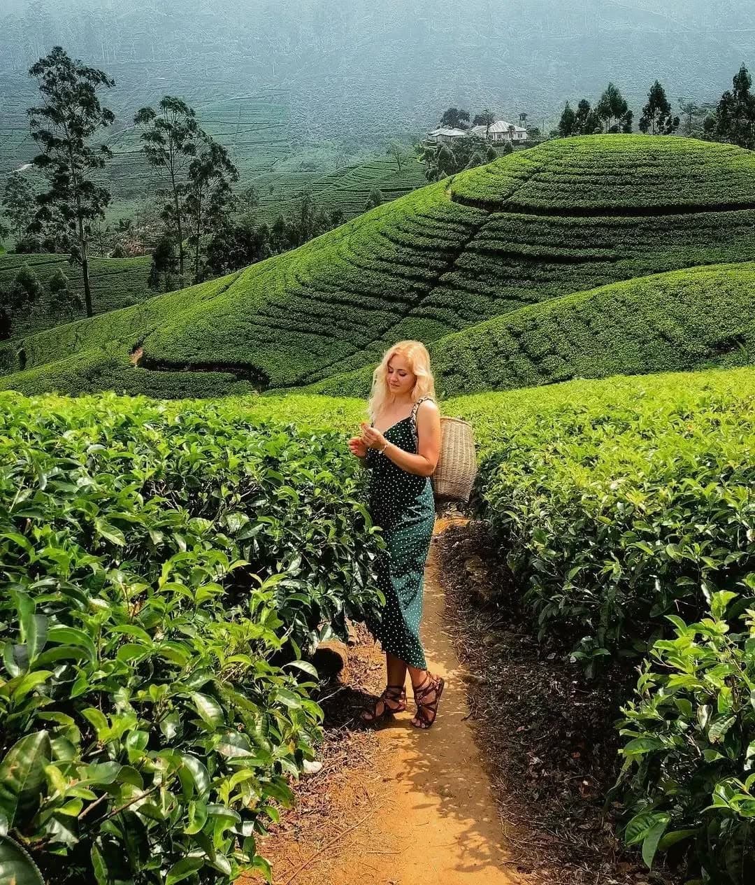 Ella Srilanka - Gallery 6
