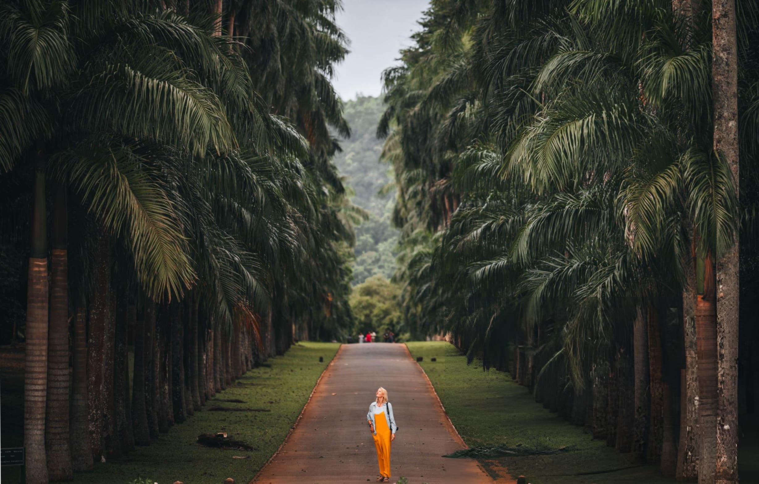 Kandy Tours Srilanka - Gallery 1