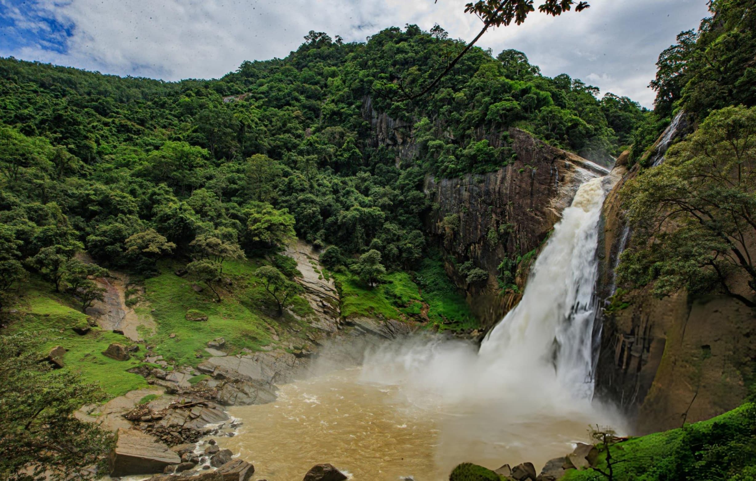 Sri Lanka Nature Discovery Tour: Negombo, Kithulgala, Nuwaraeliya, Udawalawe & Tissamaharama Highlights - Image 7